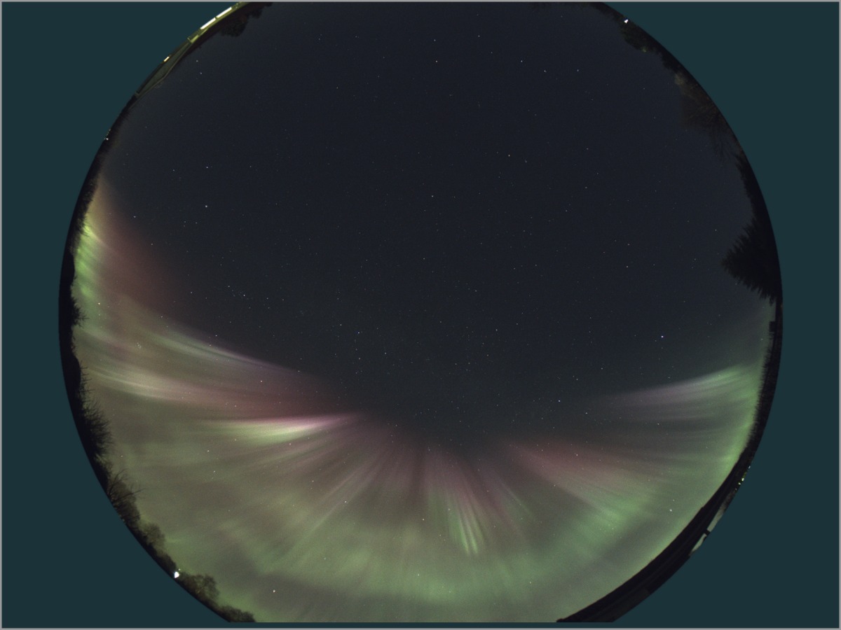 Sd02 2026 10 10 klo 231814