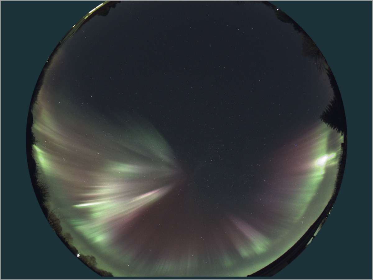 Sd02 2026 10 10 klo 232913